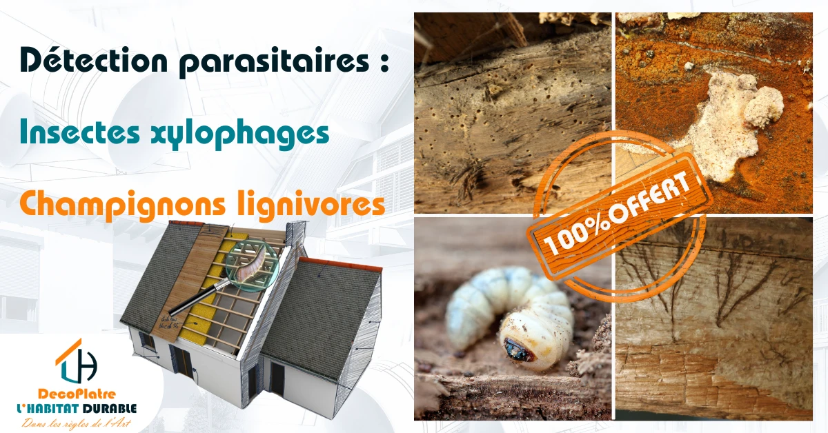 Détection parasitaires Insectes xylophages et champignons lignivores (1).png