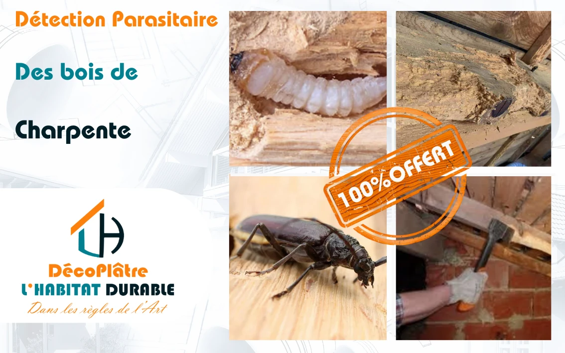 DETECTION PARASITAIRE.png